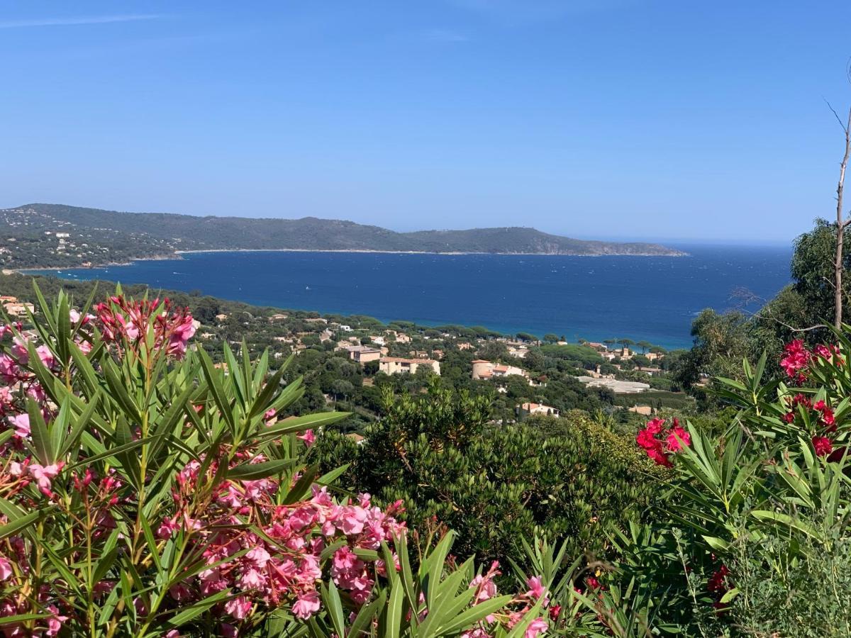 Villa Cacharelle Vue Mer Piscine Cavalaire-sur-Mer Exterior foto